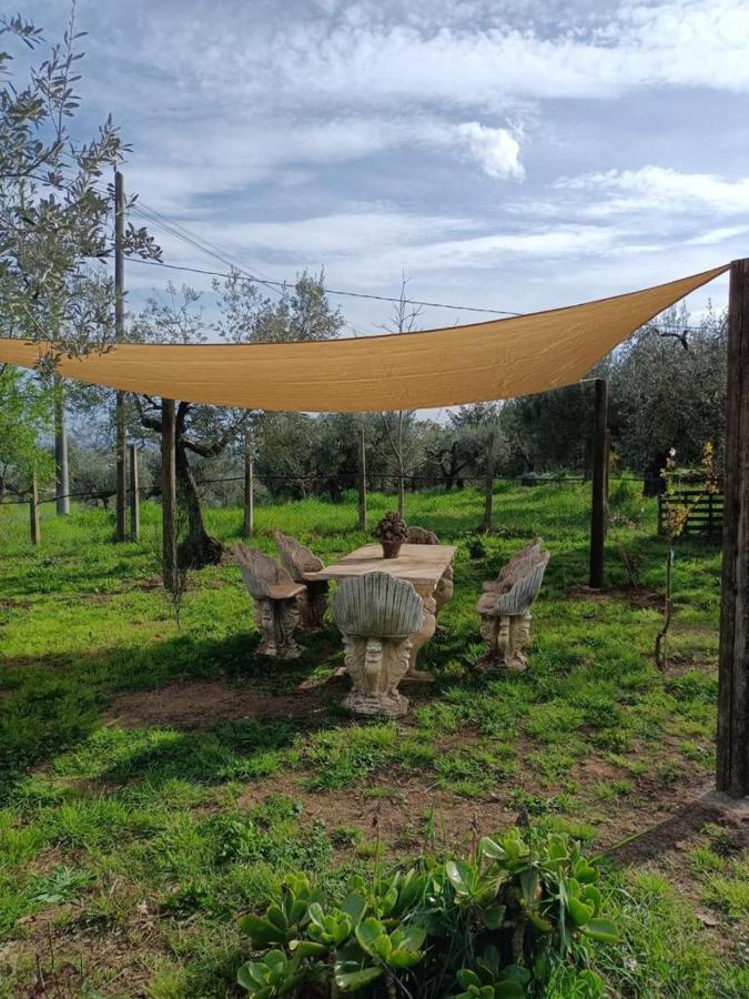 Colle Perazzoni Leilighet Fiano Romano Eksteriør bilde
