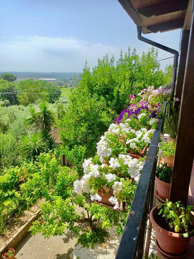 Colle Perazzoni Leilighet Fiano Romano Eksteriør bilde