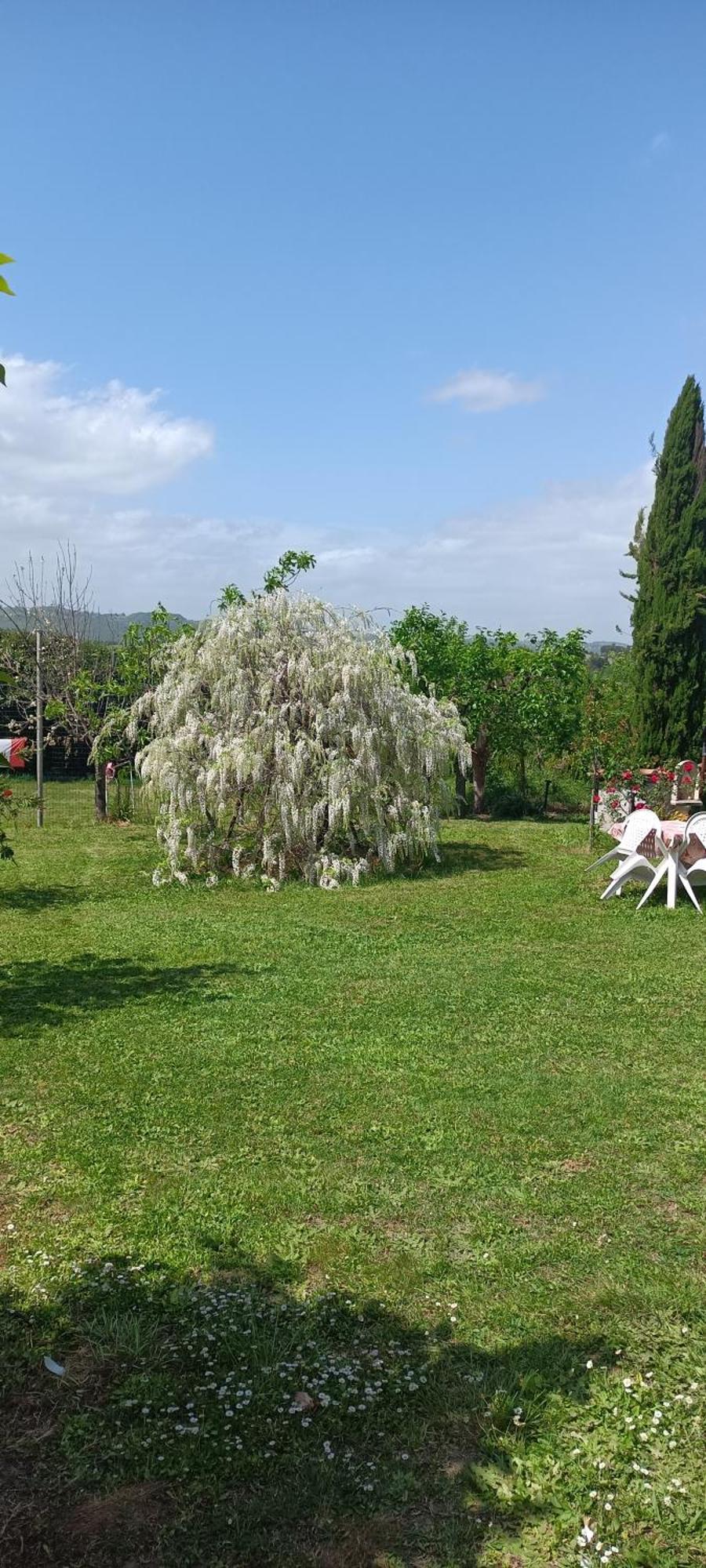 Colle Perazzoni Leilighet Fiano Romano Eksteriør bilde