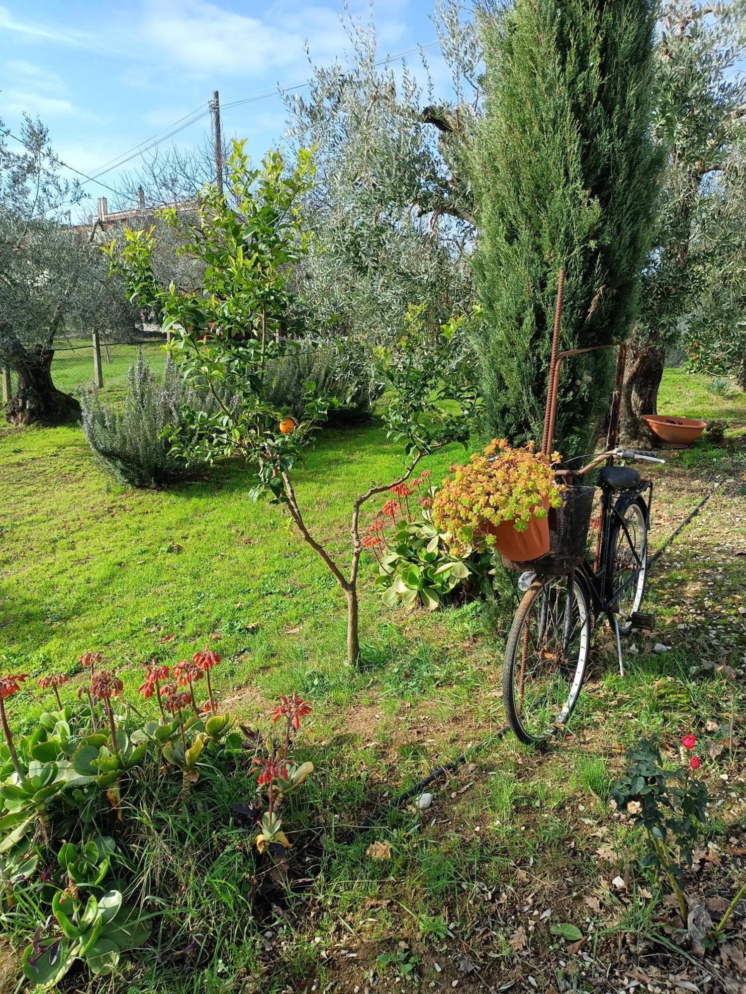 Colle Perazzoni Leilighet Fiano Romano Rom bilde